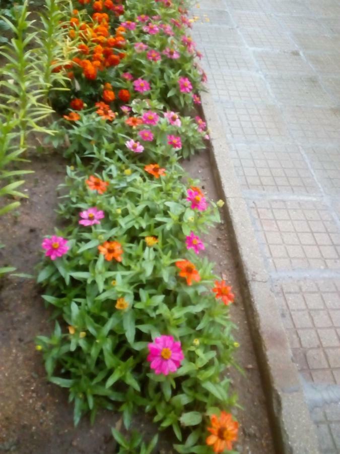 Velkovski Guest House Hisarya Luaran gambar